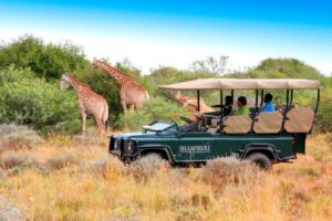 Natal e Réveillon na África